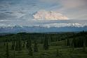 0260  Denali (Mt.Mckinley) ve 21,14
